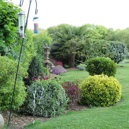 Acer Lodge Bed & Breakfast Mundford Esterno foto