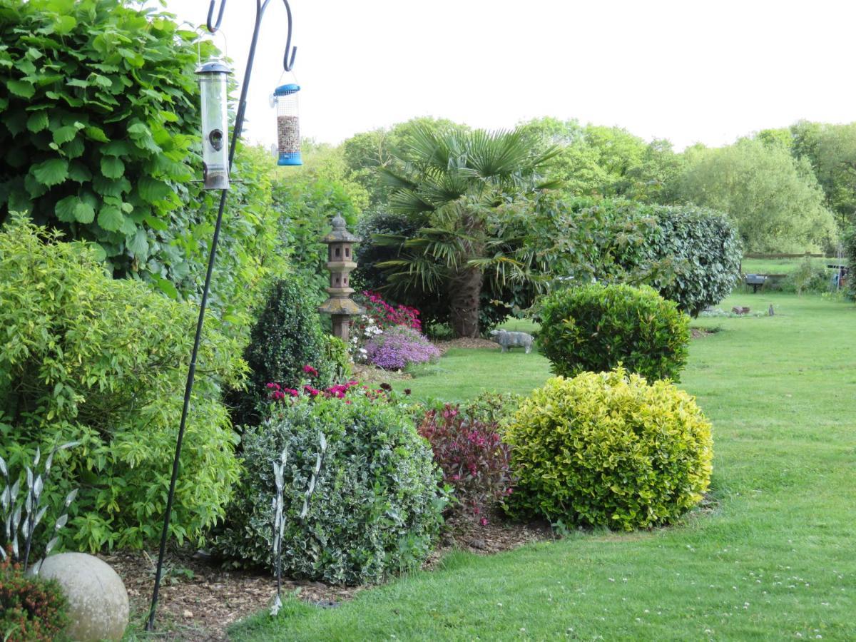 Acer Lodge Bed & Breakfast Mundford Esterno foto