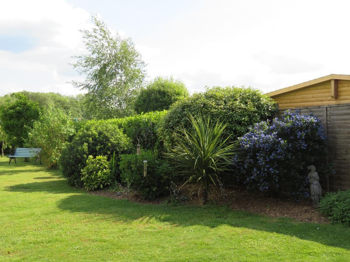 Acer Lodge Bed & Breakfast Mundford Esterno foto